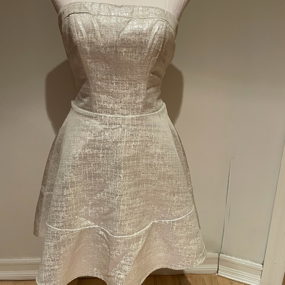 Silver Strapless dress EXPRESS